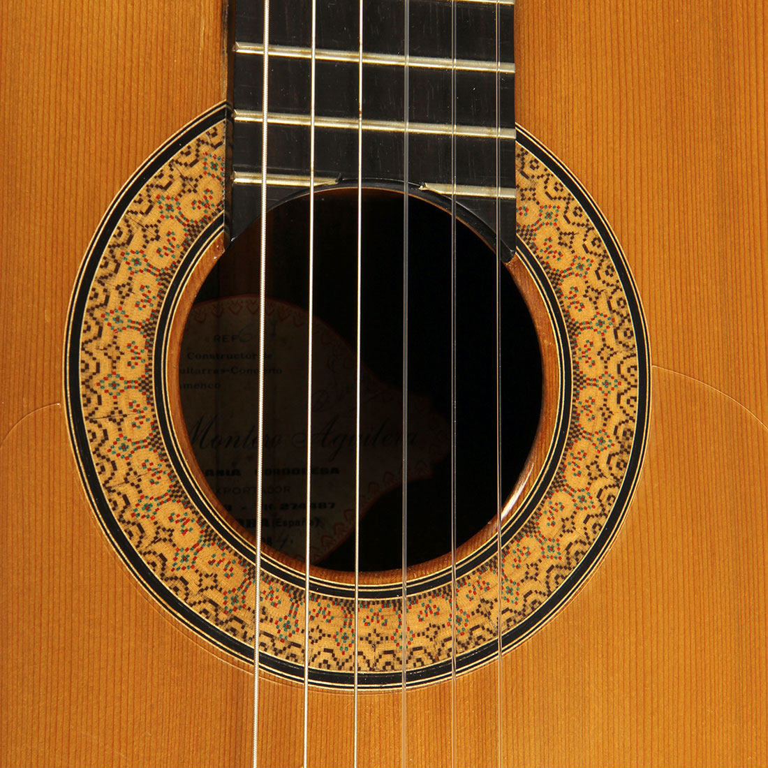 【新品】写真集「Guitar Eros Mondino」 新品】写真集「Guitar Eros Mondino」 guitar eros | 古書かいた